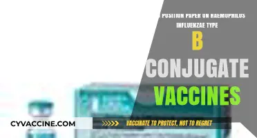 WHO's Stance on Hib Conjugate Vaccines: A Comprehensive Position Paper