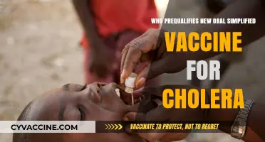 WHO Approves New Simplified Oral Cholera Vaccine for Global Use