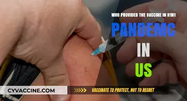 Unveiling the Key Players: H1N1 Vaccine Providers in the US Pandemic