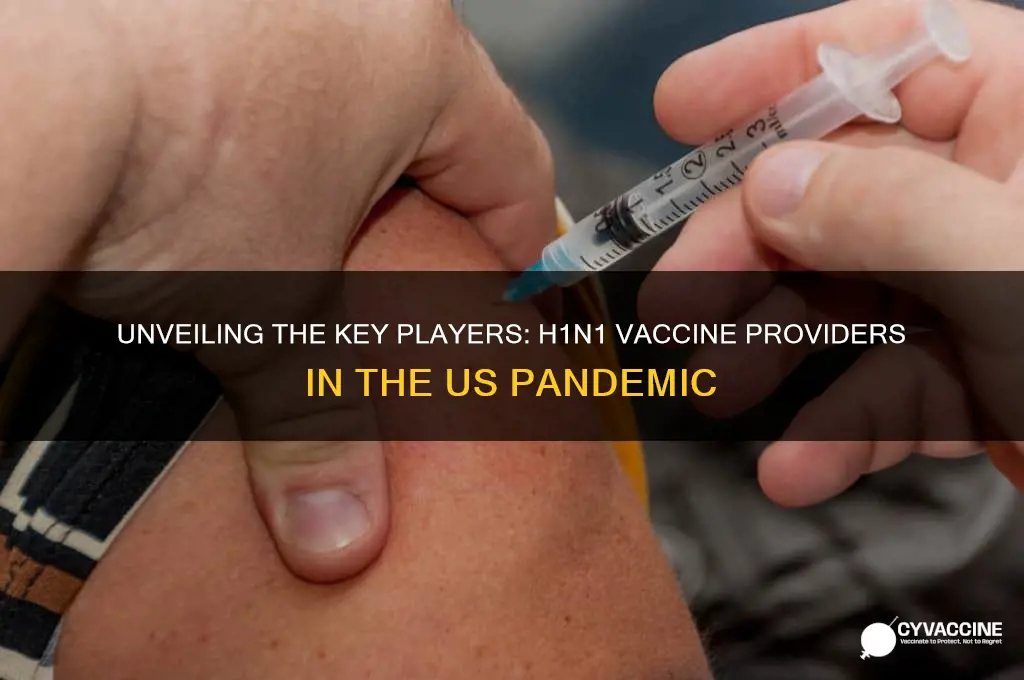 who provided the vaccine in h1n1 pandemc in us