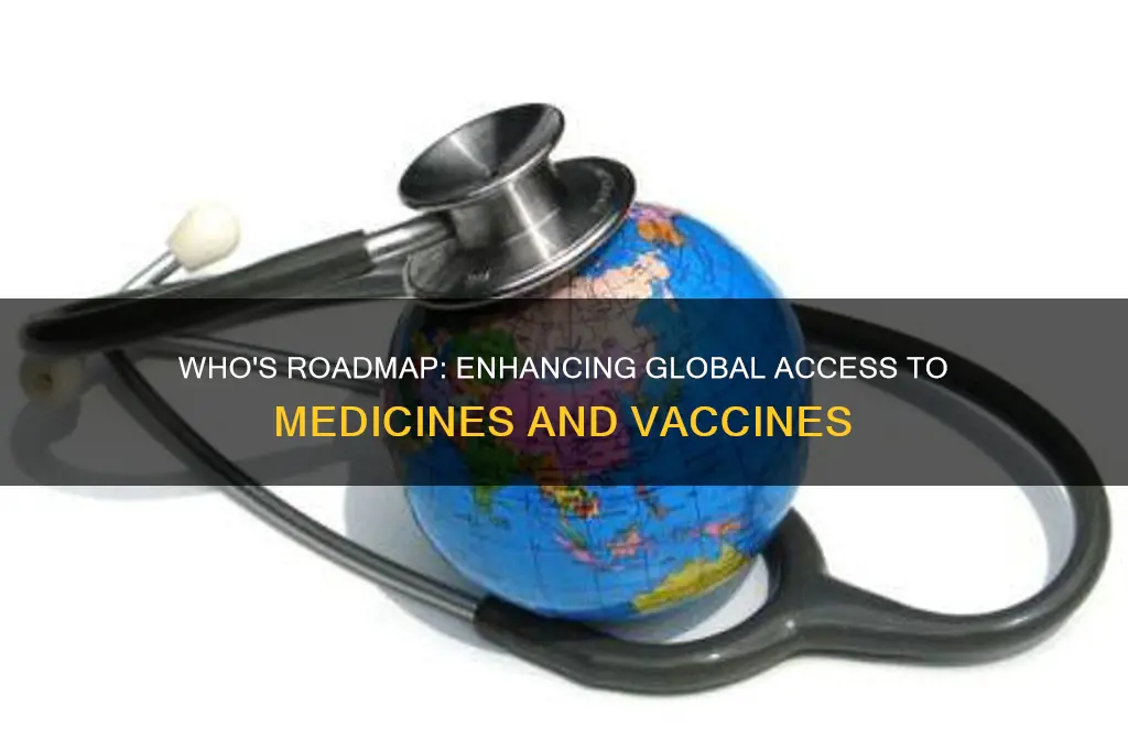 who roadmap on access to medicines and vaccines