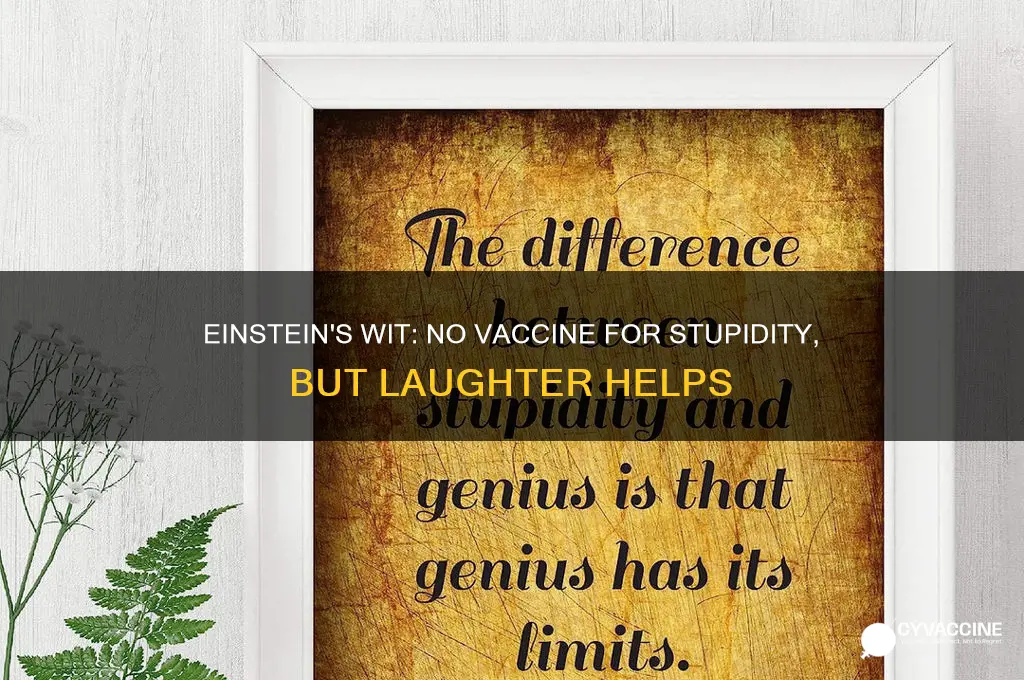 who said there is no vaccine against stupidity einstein