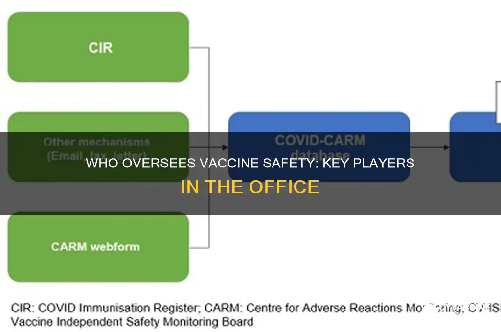 who serves in the office of vaccine safety