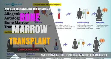 Vaccine Guidelines Post-Bone Marrow Transplant: Who Sets the Standards?