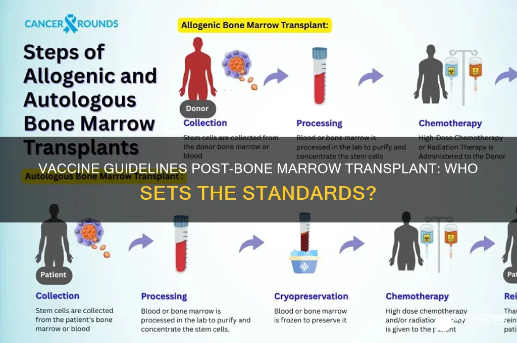 who sets the guidelines for vaccines after bone marrow transplant
