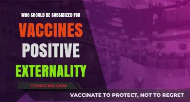 Subsidizing Vaccines: Who Benefits Most from Positive Externalities?