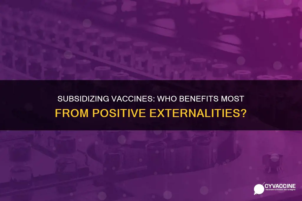 who should be subsidized for vaccines positive externality