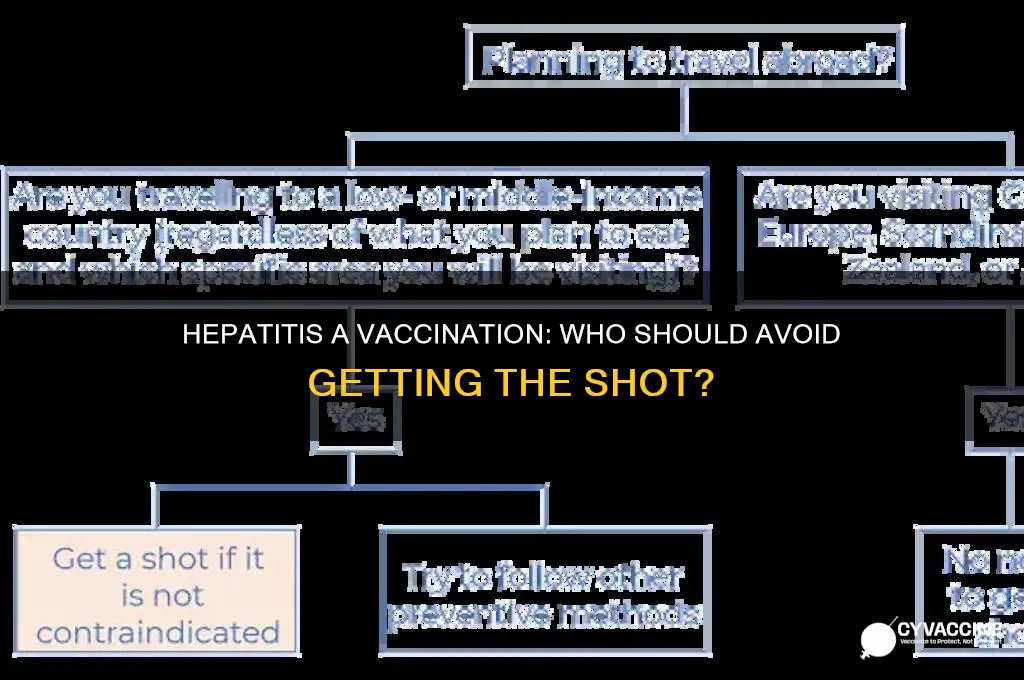 who should not be vaccinated for hepatitis a