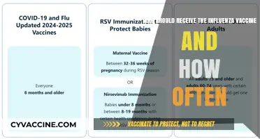 Influenza Vaccine: Who Needs It and How Often?
