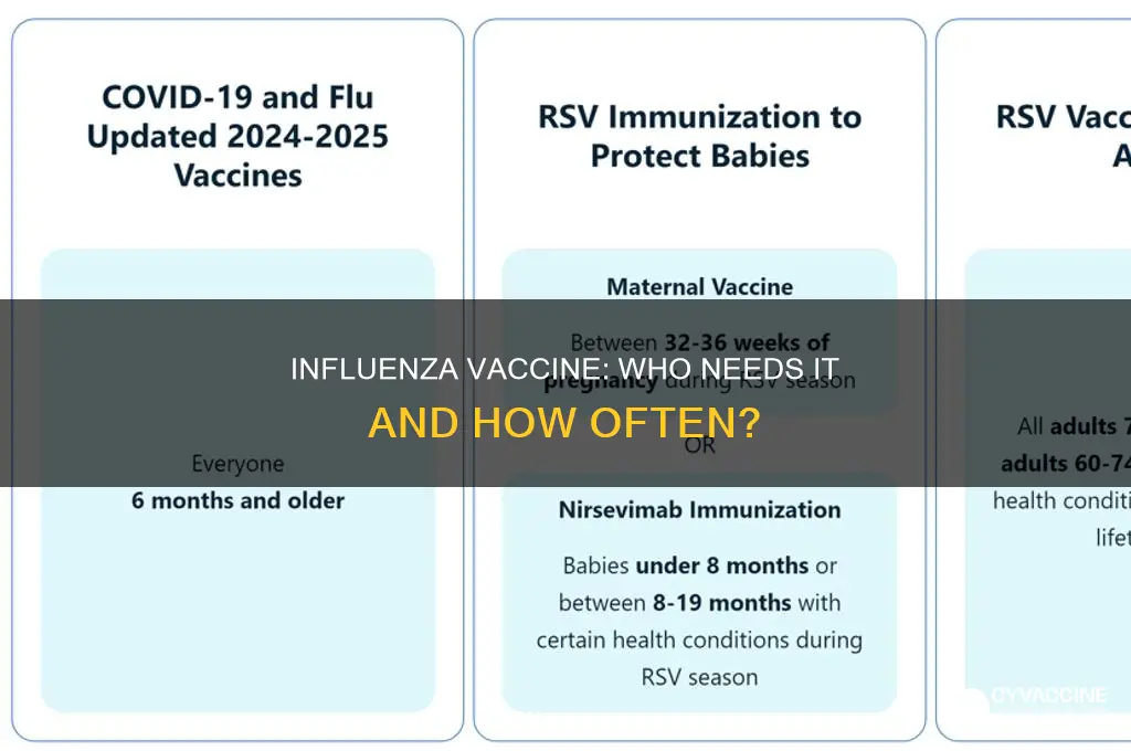 who should receive the influenza vaccine and how often