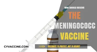 Who Needs the Meningococcal Vaccine? Key Recipients Explained