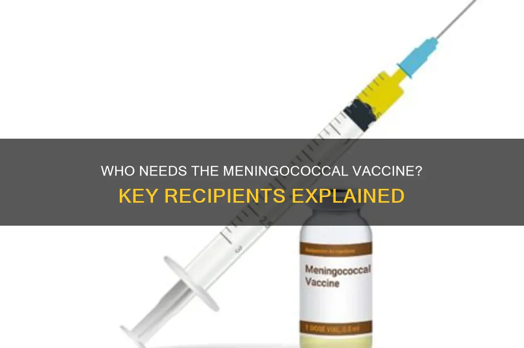 who should receive the meningococcal vaccine