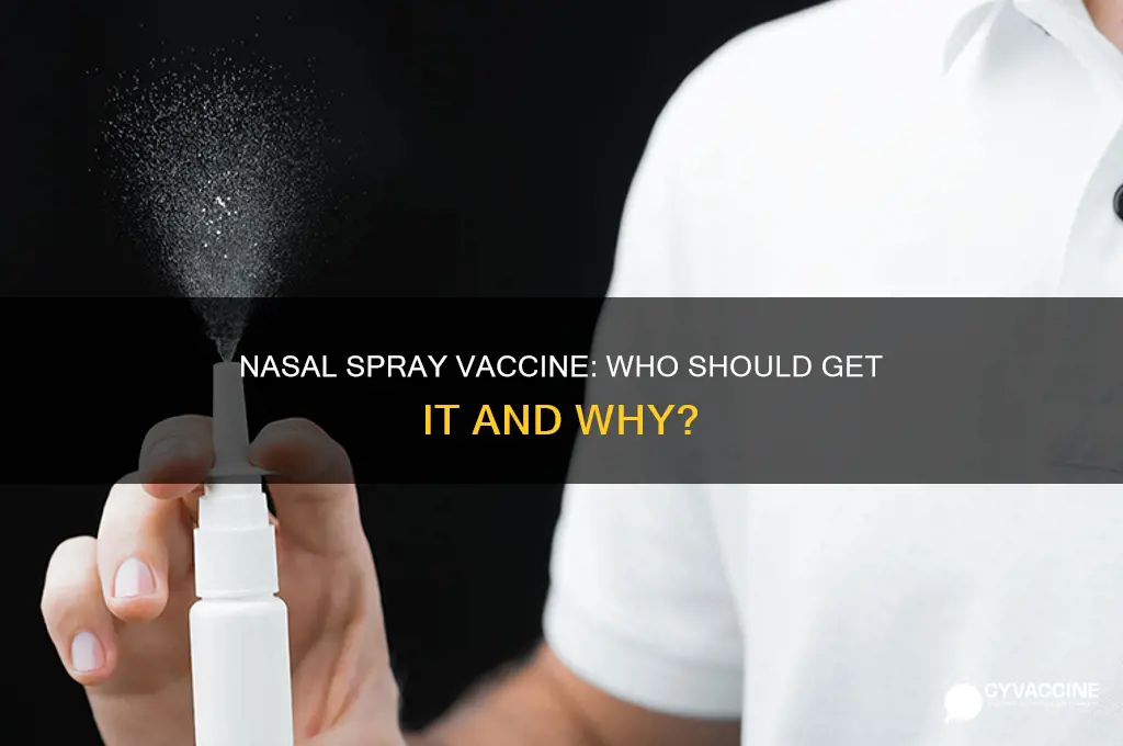 who should receive the nasal spray virus vaccine