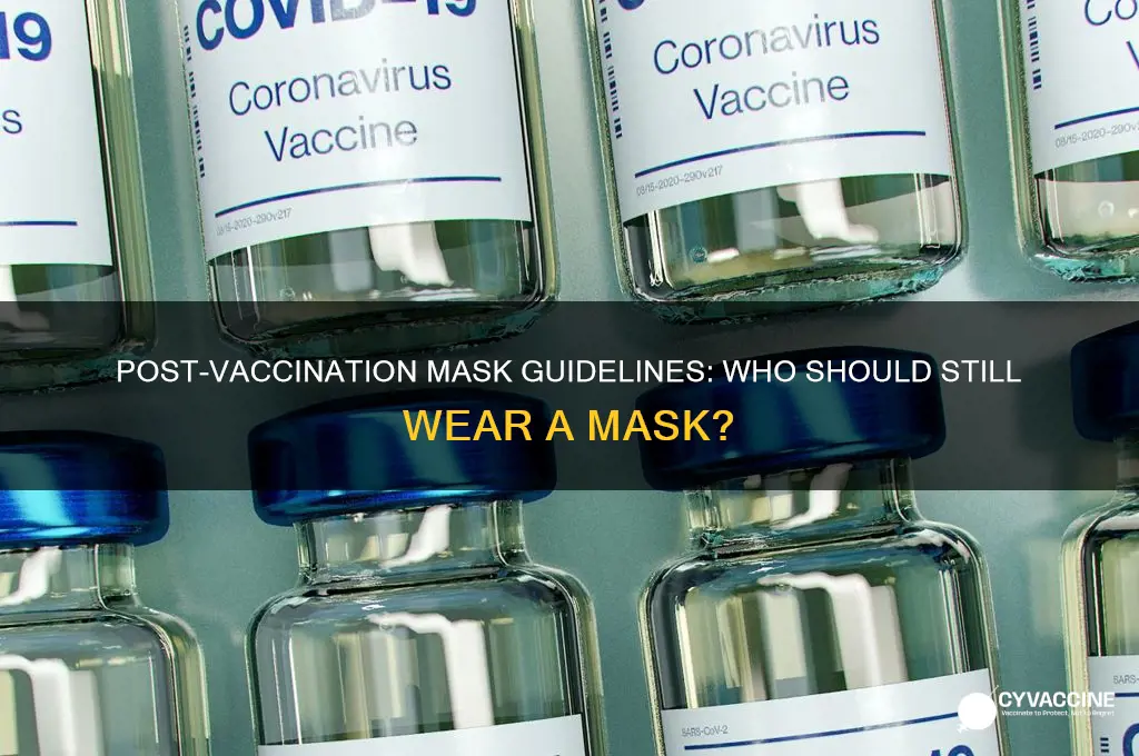 who should still wear a mask after vaccine