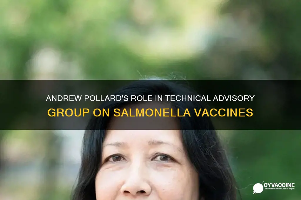 who techincal advisory group on salmonella vaccines andrew pollard