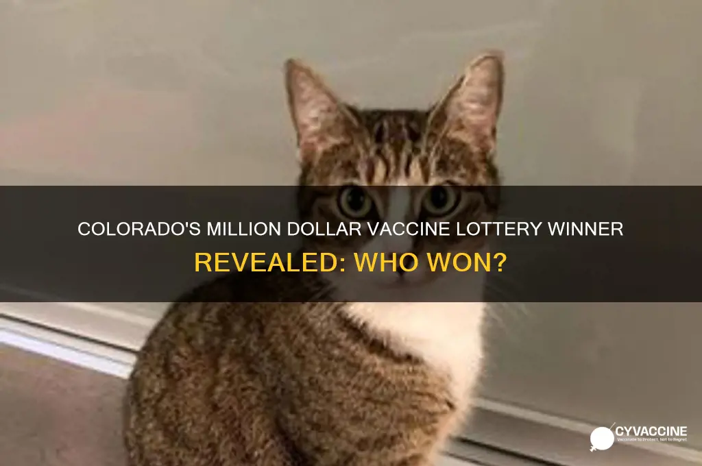 who won the million dollar vaccine lottery in colorado