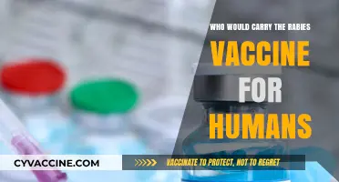 Who Carries the Rabies Vaccine for Humans? Key Providers Explained