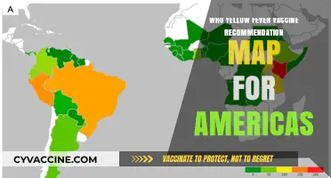 Yellow Fever Vaccine Recommendations: Americas Travel Health Map Guide