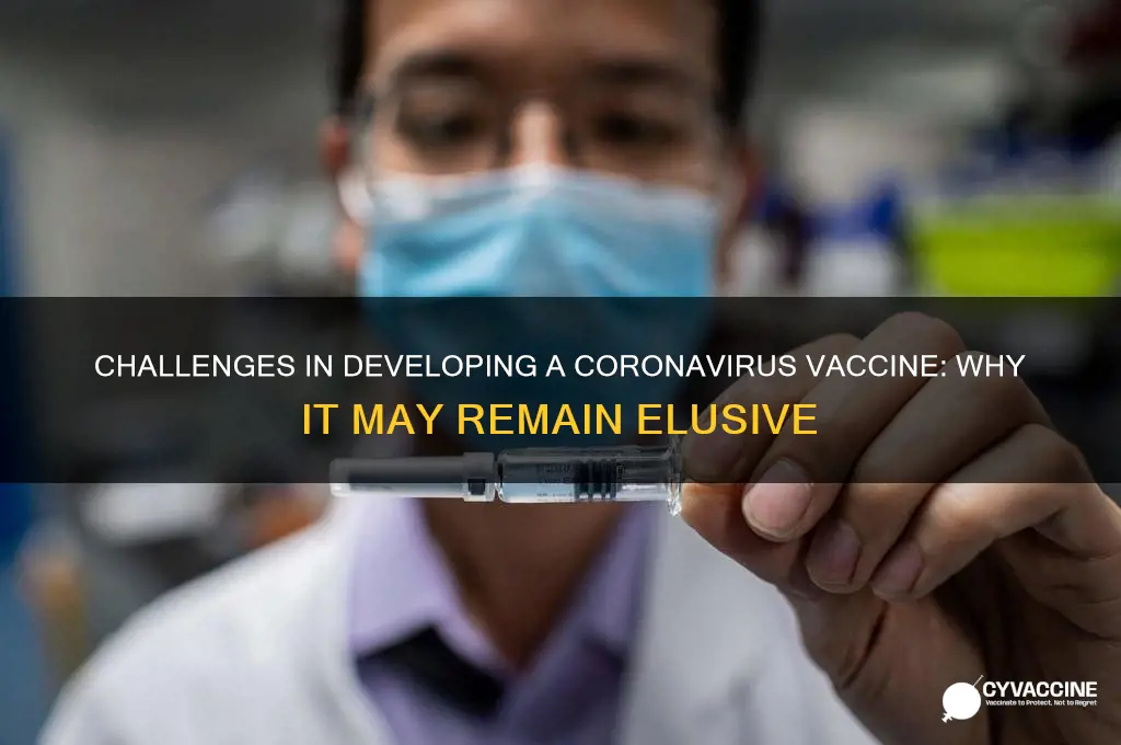 why a coronavirus vaccine may never be found