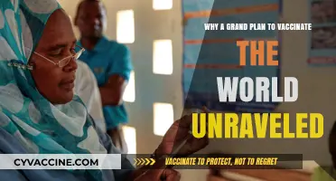 Global Vaccine Initiative: How the World's Grand Plan Unraveled