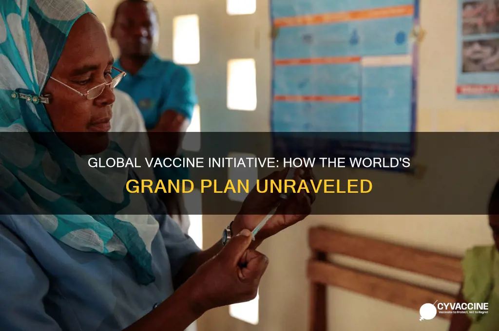 why a grand plan to vaccinate the world unraveled