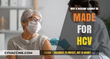 Challenges in Developing a Vaccine for Hepatitis C Virus (HCV)