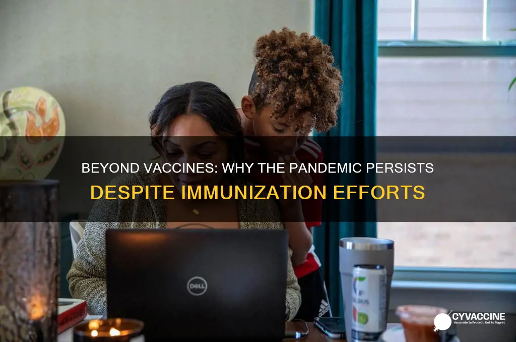 why a vaccine won
