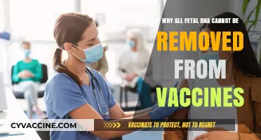 Fetal DNA in Vaccines: Why Complete Removal Isn't Possible