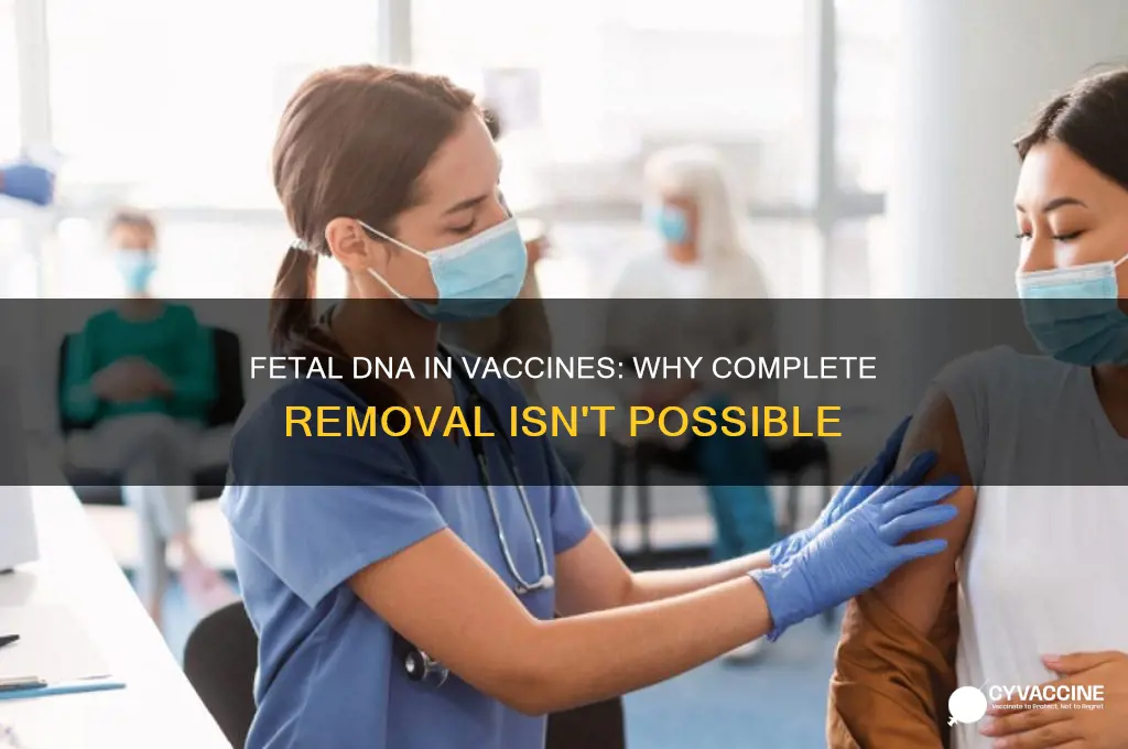 why all fetal dna cannot be removed from vaccines