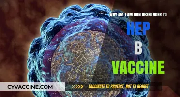 Understanding Non-Response to Hepatitis B Vaccine: Causes and Solutions