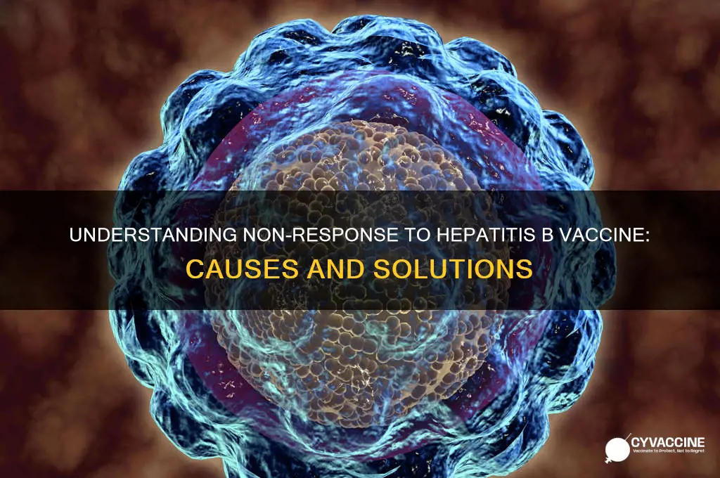 why am i am non responder to hep b vaccine