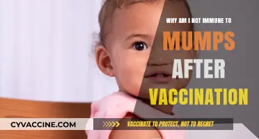Mumps Vaccine: Why Some Remain Susceptible Post-Immunization Explained