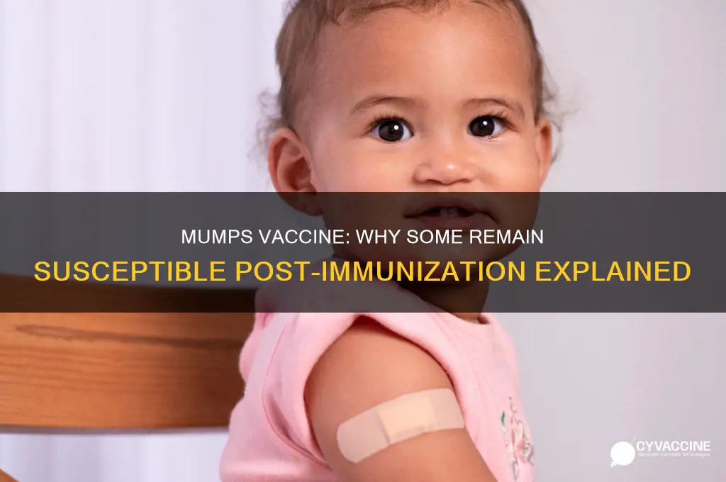 why am i not immune to mumps after vaccination
