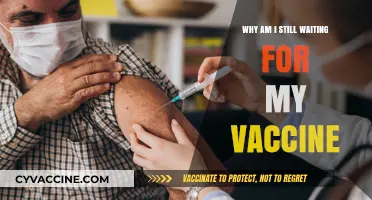 Why the Vaccine Wait? Understanding Delays in COVID-19 Immunization