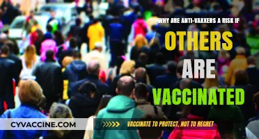Vaccinated but Vulnerable: How Anti-Vaxxers Threaten Herd Immunity