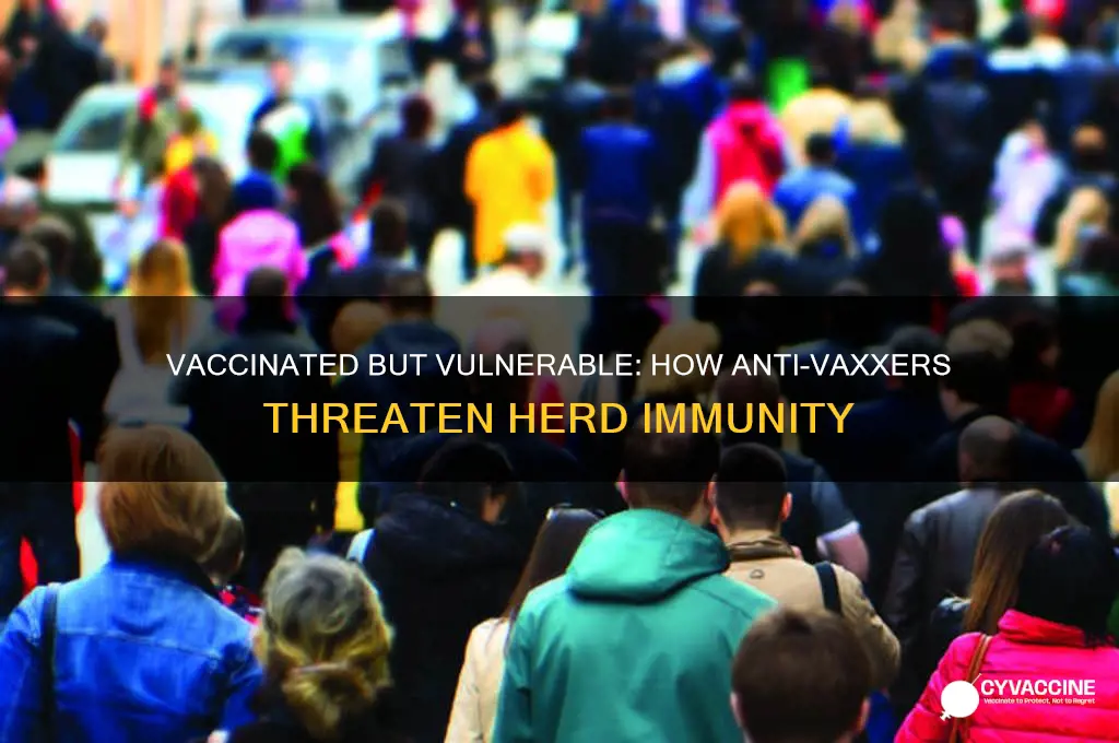 why are anti-vaxxers a risk if others are vaccinated