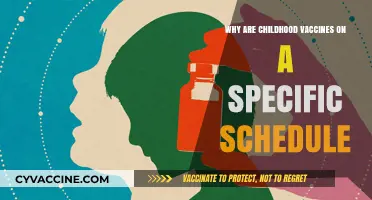 Childhood Vaccine Schedules: Timing, Immunity, and Health Protection Explained