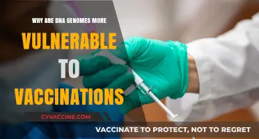 DNA Genomes and Vaccines: Unraveling Increased Vulnerability to Immunization
