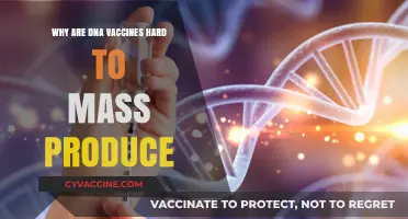 Challenges in Mass Producing DNA Vaccines: Key Obstacles Explained