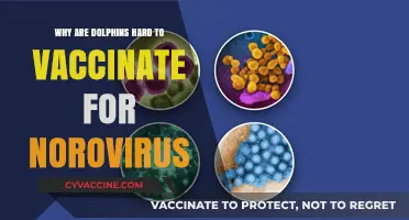 Challenges in Vaccinating Dolphins Against Norovirus: Unraveling the Complexities