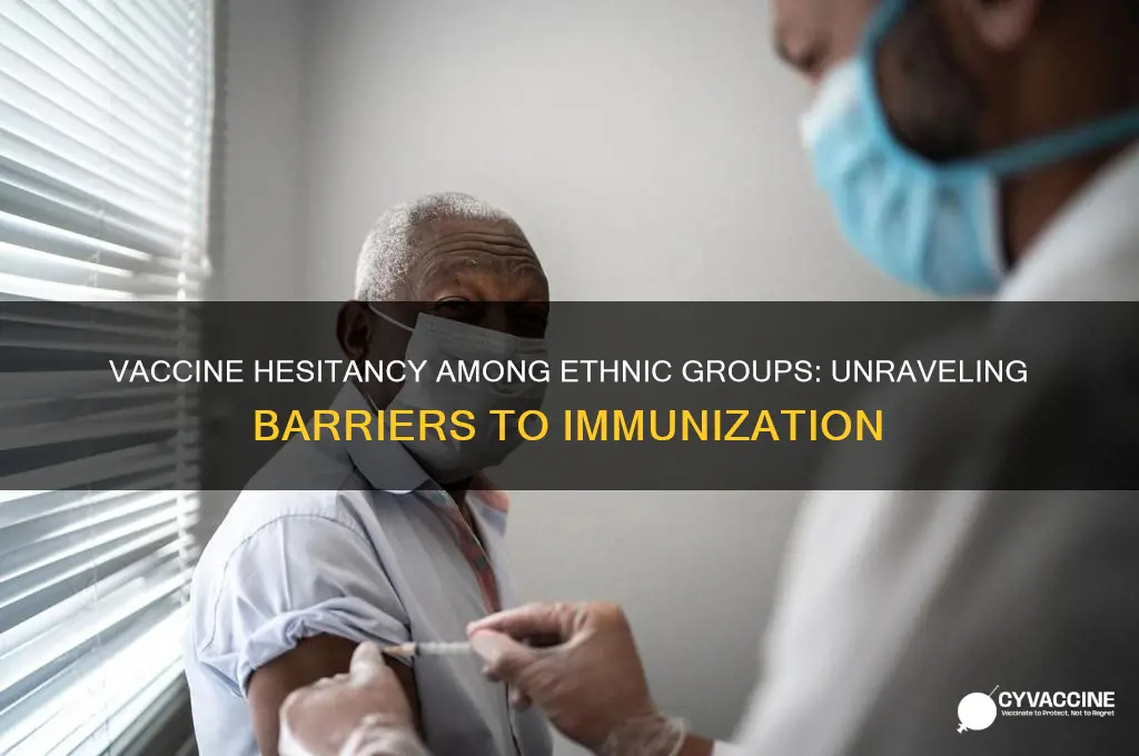 why are ethnic groups less likely to receive vaccinations