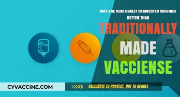 Genetically Engineered Vaccines: Superior Efficacy, Safety, and Production Advantages