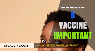Hepatitis A & B Vaccines: Essential Shield Against Liver Infections