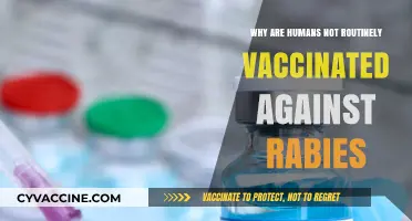 Why Humans Aren't Routinely Vaccinated Against Rabies: Uncovering the Reasons