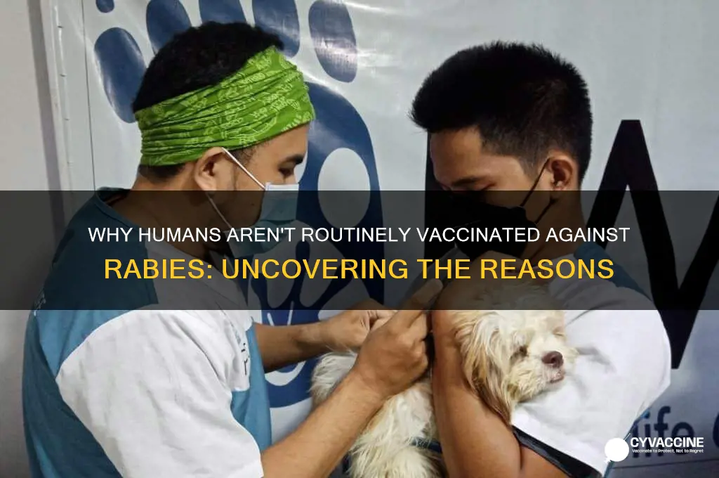 why are humans not routinely vaccinated against rabies