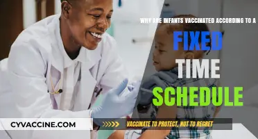 Understanding the Critical Timing of Infant Vaccinations: A Fixed Schedule Explained