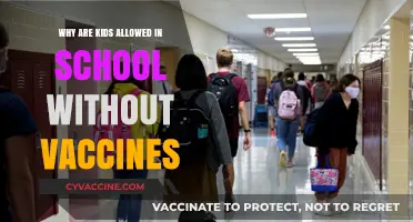 Unvaccinated Kids in Schools: Risks, Rights, and Public Health Concerns
