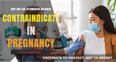 Live Attenuated Vaccines in Pregnancy: Risks and Contraindications Explained