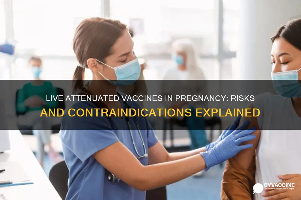 why are live attenuated vaccines contraindicated in pregnancy