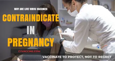 Live Virus Vaccines and Pregnancy: Understanding Contraindications and Risks